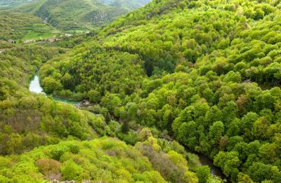 Día Mundial del Medio Ambiente